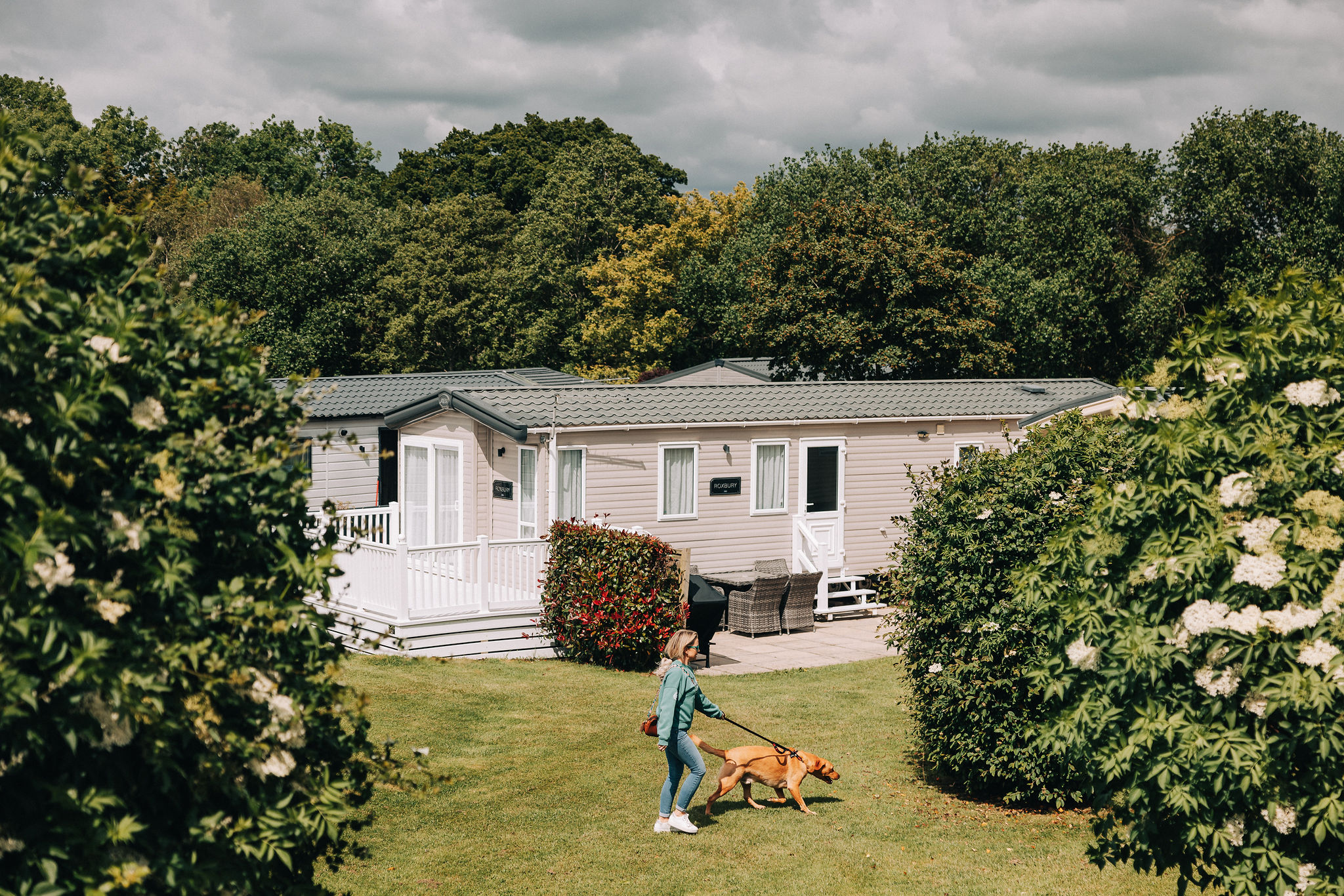 dog friendly holiday park in wimborne