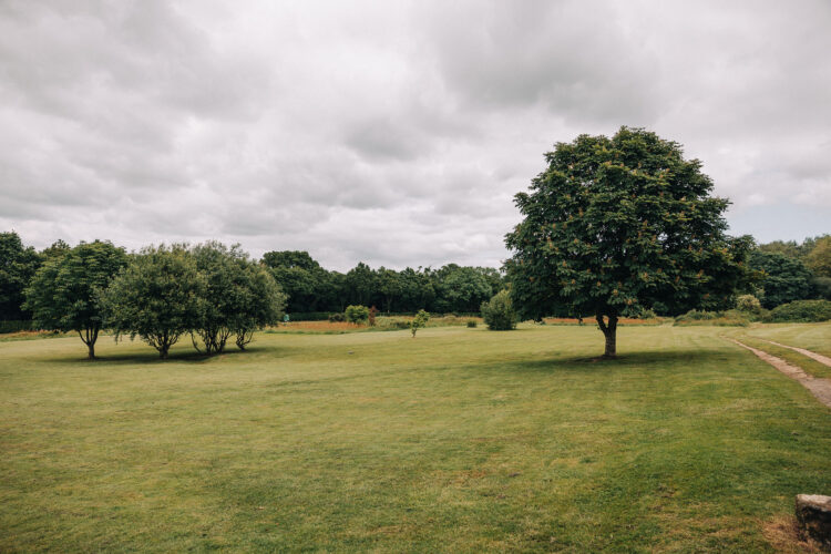 secure dog walking field
