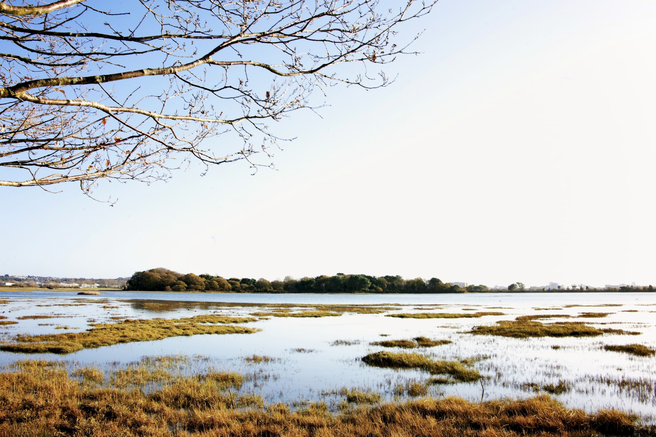 Autumn walks. Upton Country Park