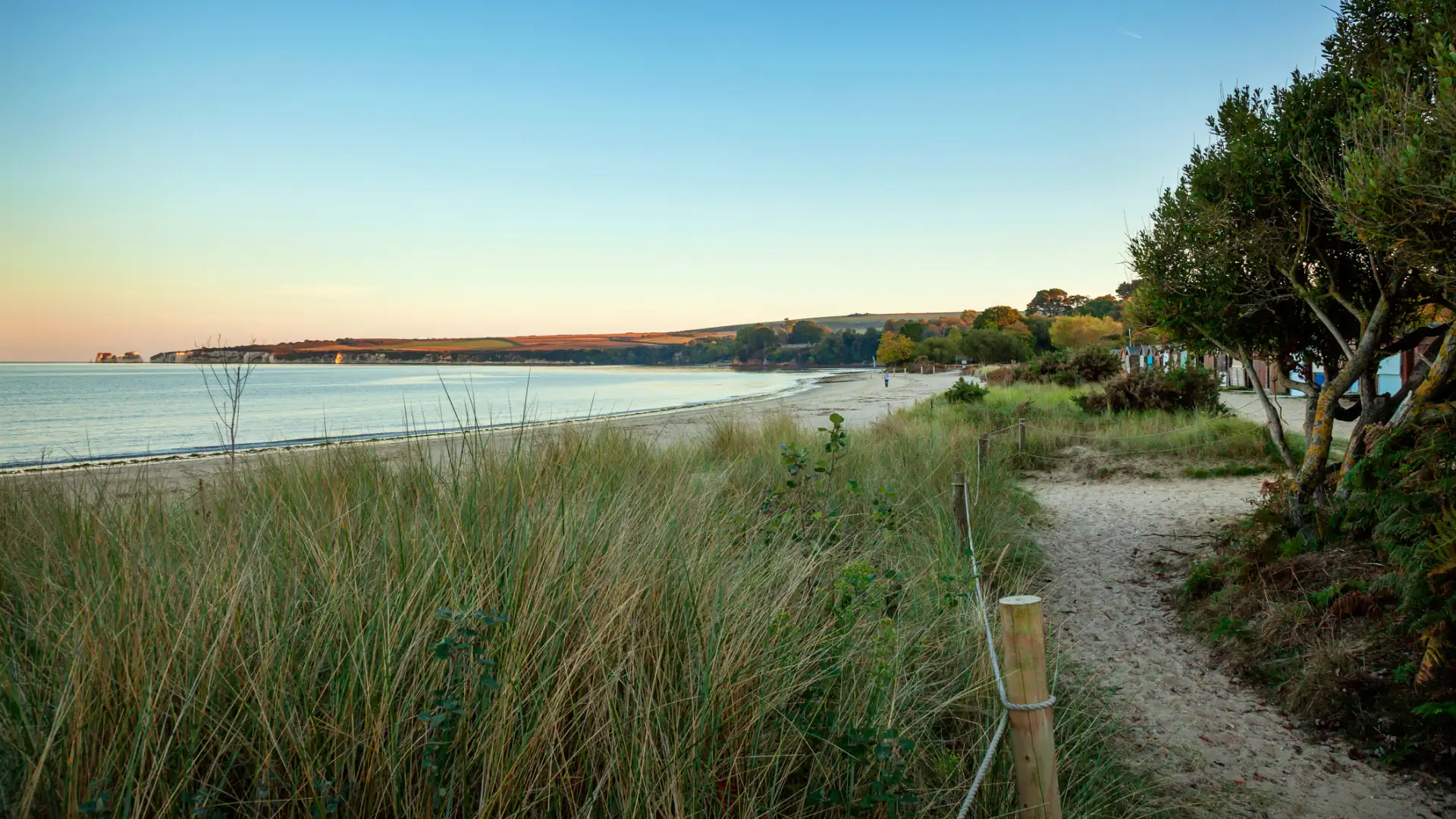 South Beach Studland