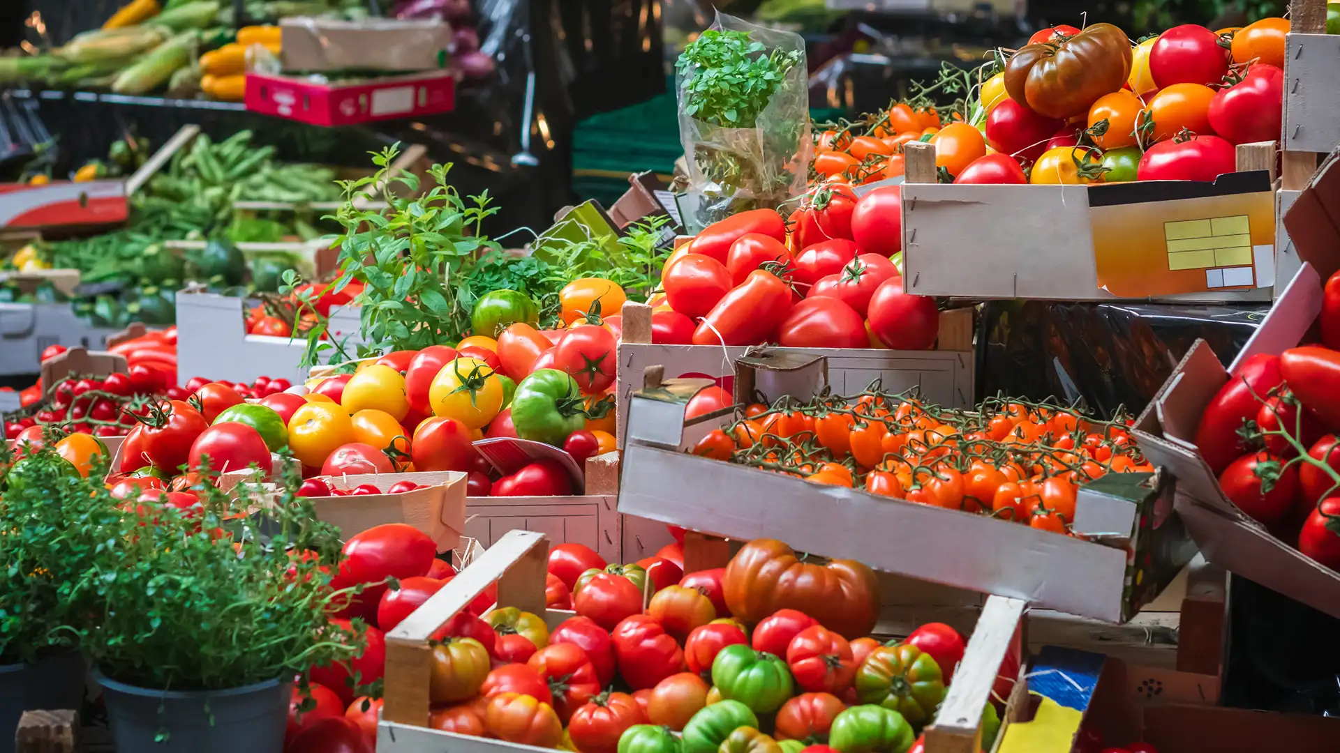 Tomato Stall